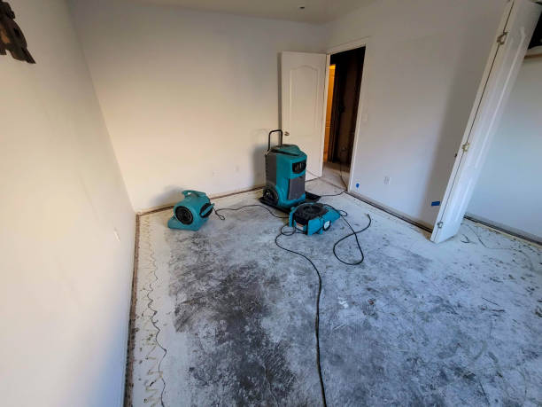 Carpet water damage restoration in Fort Rucker, AL