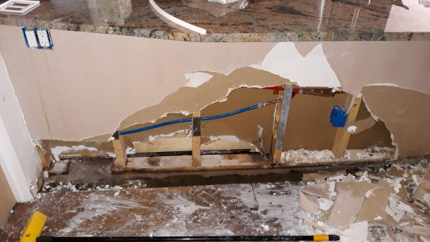 Best Basement water damage restoration  in Fort Rucker, AL