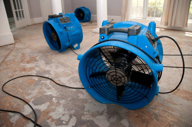 Best Commercial water damage restoration  in Fort Rucker, AL