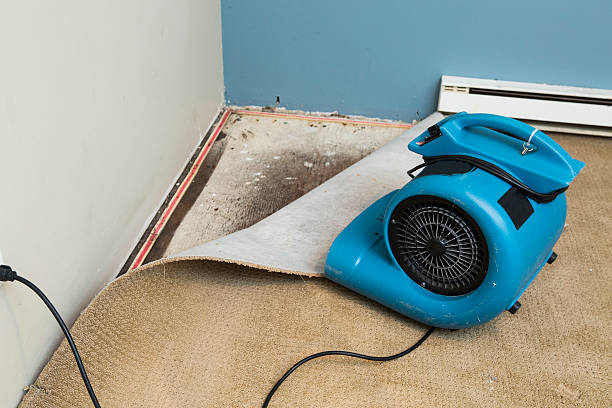  Fort Rucker, AL Water damage restoration Pros